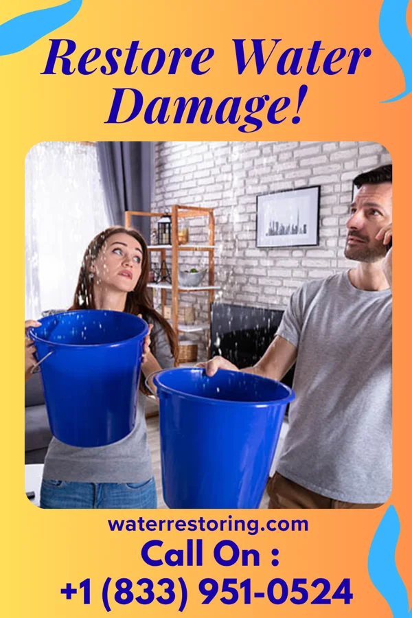 water restoration Extraction Force Byram
