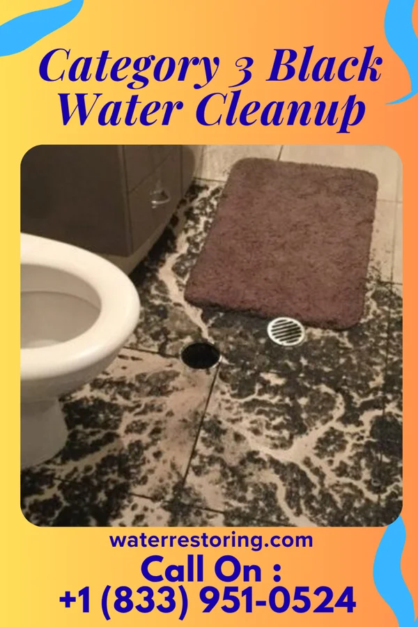 Category 3 Black Water Cleanup in Byram, CT