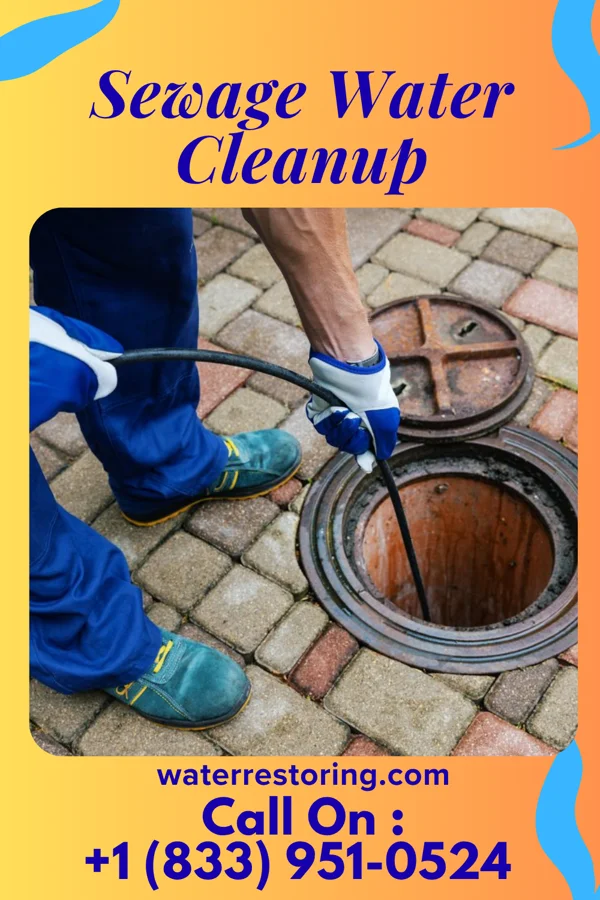 Sewage Water Cleanup in Byram, CT